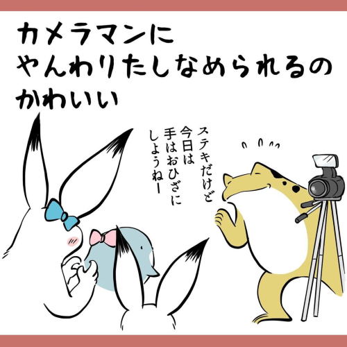 かわいいだらけ