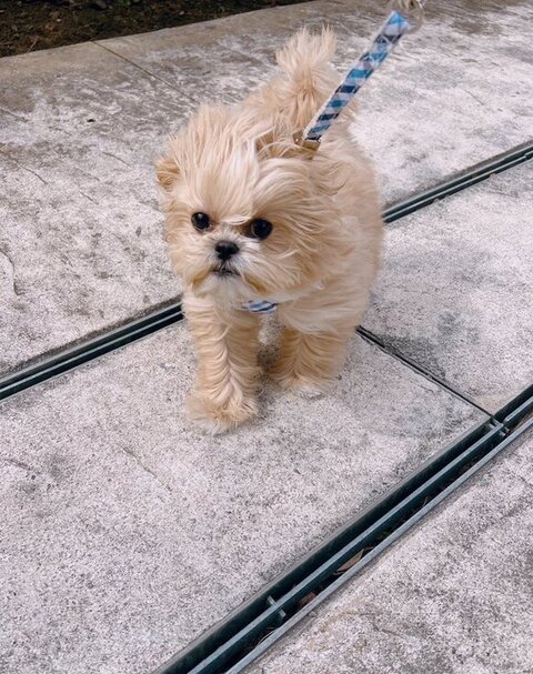 前髪が立ってる