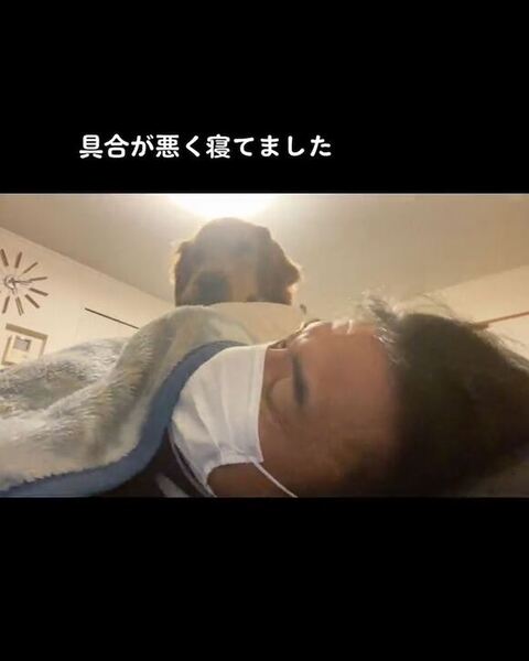 心配するゴールデン