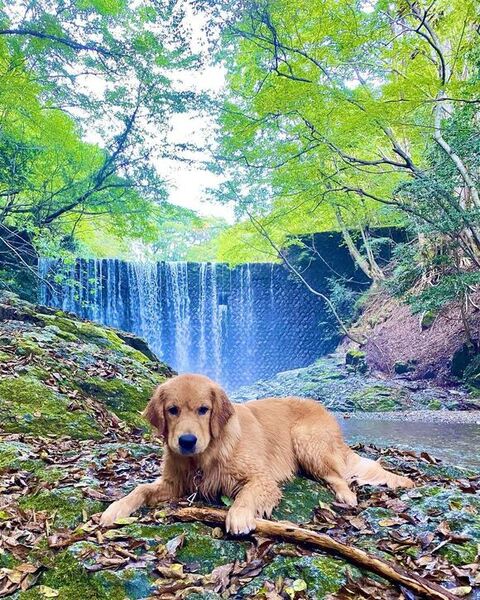 水遊びするよんくくん