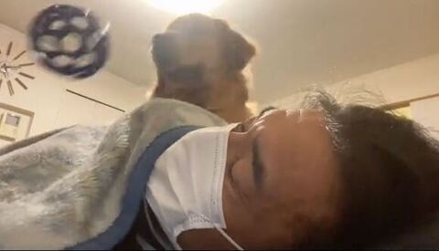 ボールを投げるよんくくん