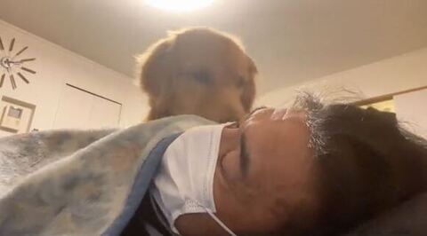 不思議そうに見つめるよんくくん