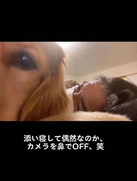 ドアップのよんくくん