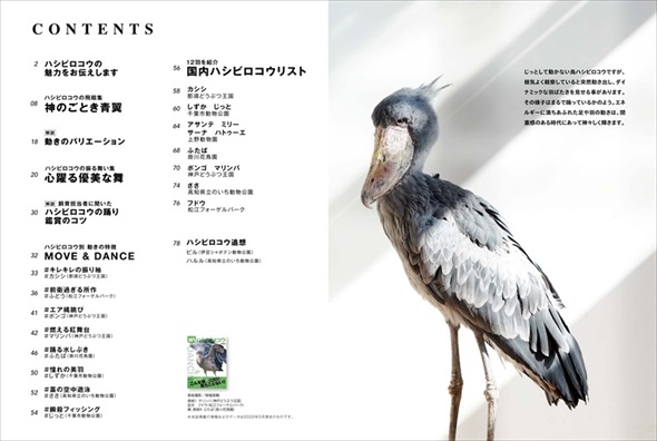 踊るハシビロコウ