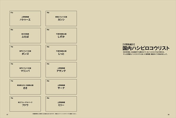 踊るハシビロコウ