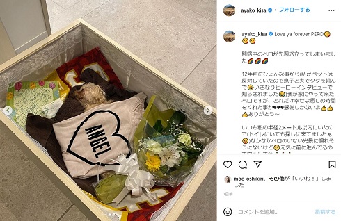 ひつぎの中で永遠の眠りにつく木佐彩子の愛犬ペロ
