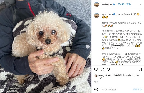 愛犬「ペロ」の死を悼む木佐彩子