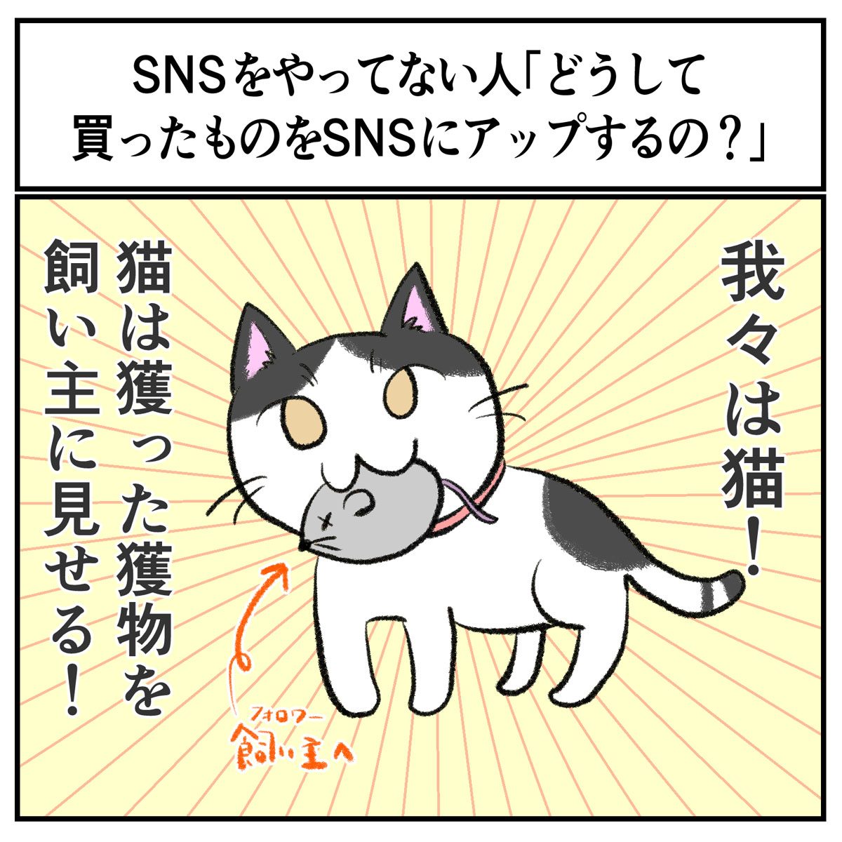 その視点はなかった