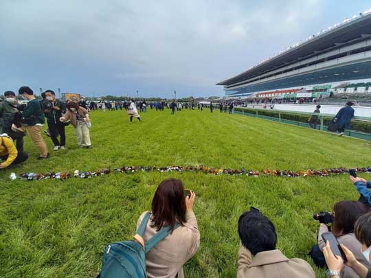 中山 競馬場 馬場解放 ぬいぐるみ ステークス 競馬
