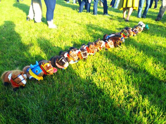 中山 競馬場 馬場解放 ぬいぐるみ ステークス 競馬