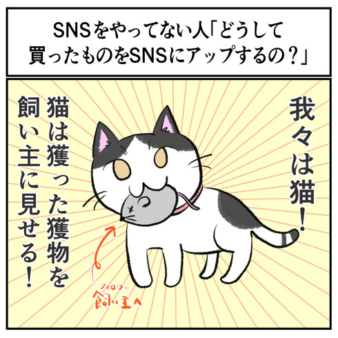 その視点はなかった