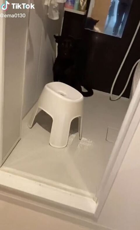 エマちゃん遠いアングル