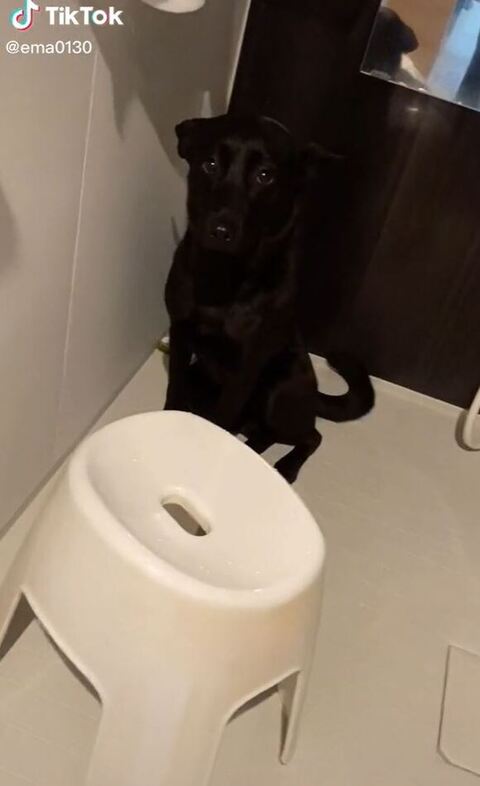 近づいたエマちゃん