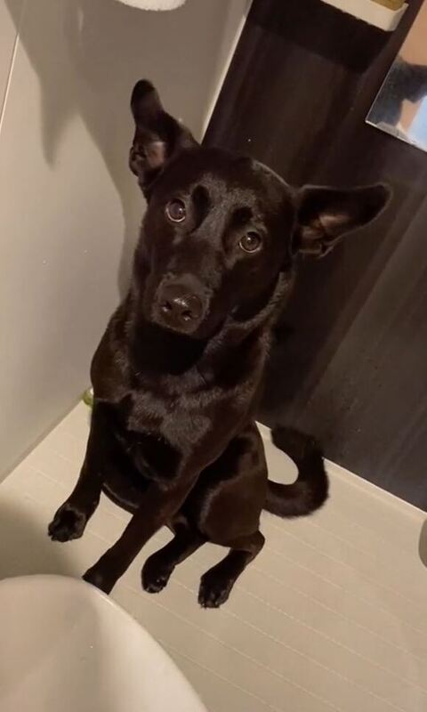 耳を広げてるエマちゃん