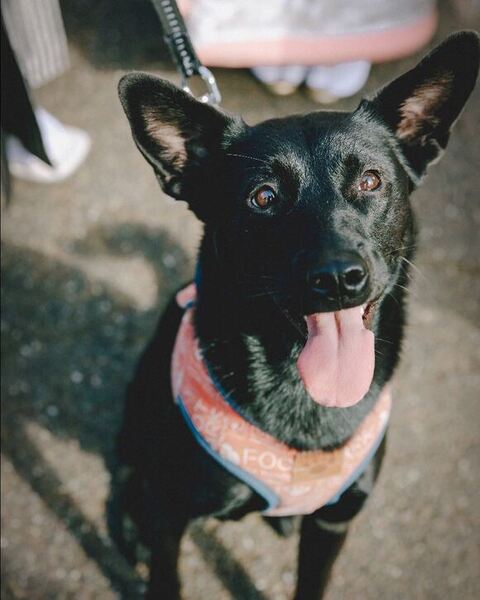 笑顔のエマちゃん