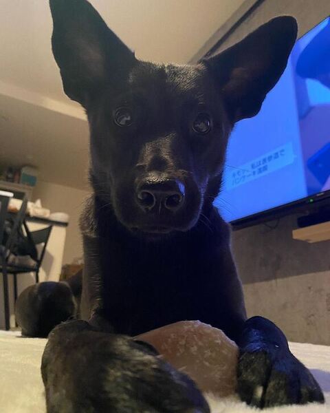 ガムを持ってるエマちゃん