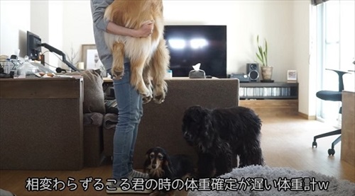 るこるくん測定中