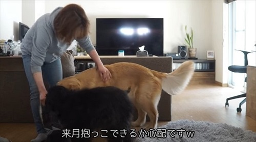 るこるくん測定完了