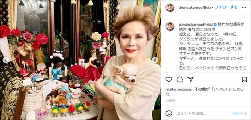 デヴィ夫人の愛犬