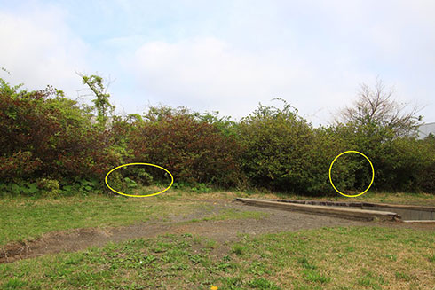 画像内テキスト