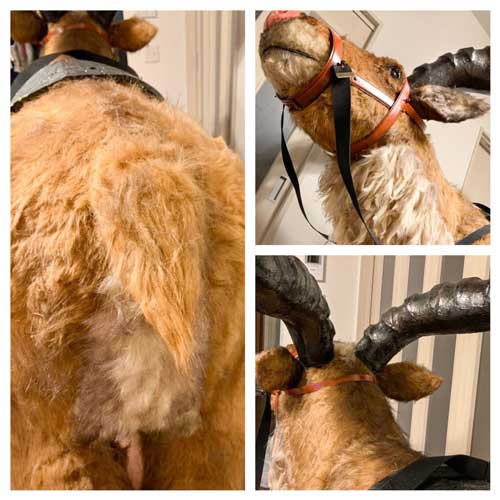 もののけ姫 コスプレ ヤックル 乗れる アシタカ 製作 衣装 自作