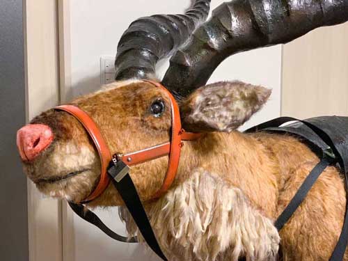 もののけ姫 コスプレ ヤックル 乗れる アシタカ 製作 衣装 自作