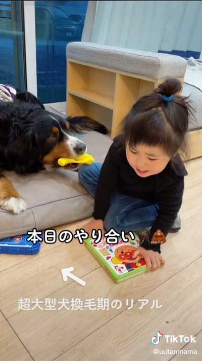 しょんぼりする女の子と犬