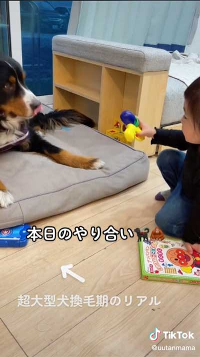 仲良しなワンコと女の子