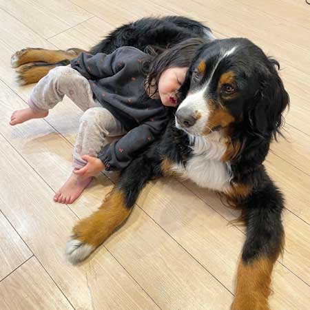 頼もしいお兄ちゃん犬と女の子