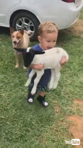 「Kid Has His Hands Full on the Farm || ViralHog」