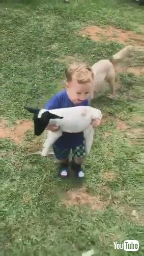 「Kid Has His Hands Full on the Farm || ViralHog」