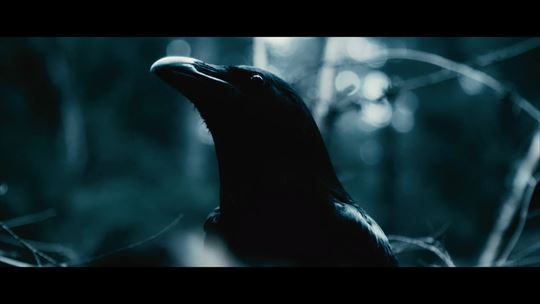 メタバースくそくらえ