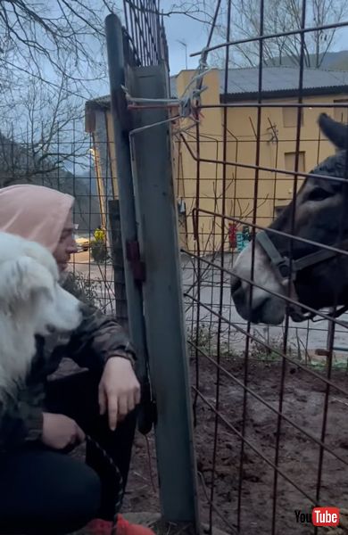 びっくりする飼い主とワンコ