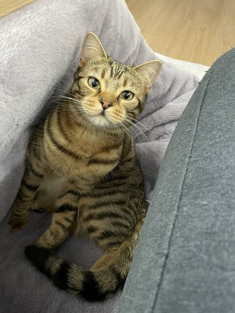 口元ふっくら正面