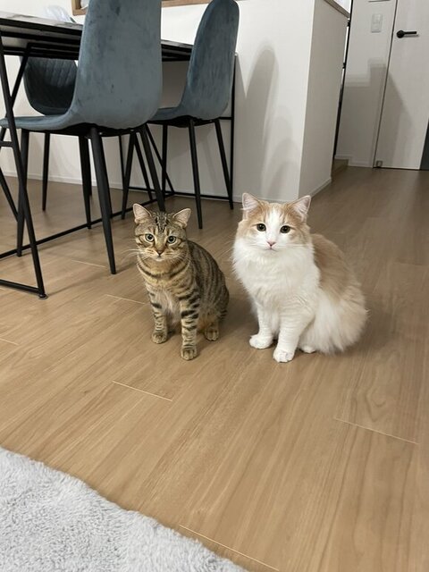 ふたりで見つめてくる写真