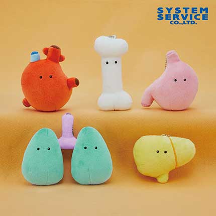 にんげんのからだ ぬいぐるみ FANS プライズ 大腿骨 心臓