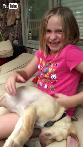 ソファに落ちる子犬