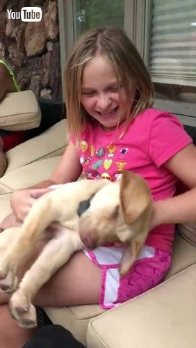 抱き起こす少女とワンコ