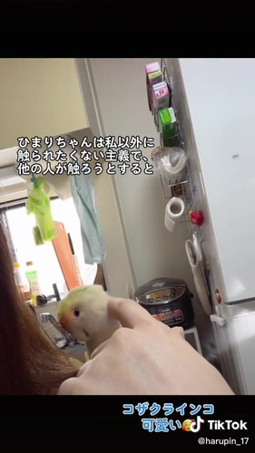 うっとりするひまりちゃん