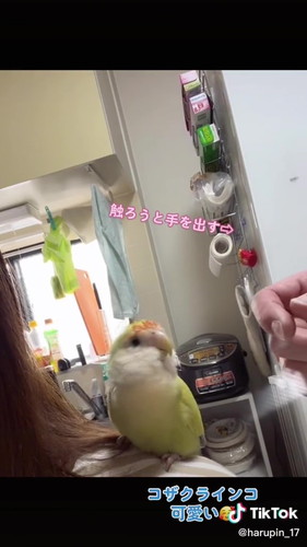 飼い主以外の手が伸びる