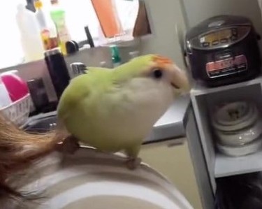 切れるひまりちゃんアップ