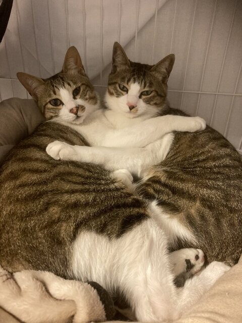 抱き合うふたり