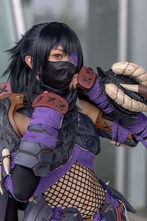 モンハンシリーズのナルガ装備