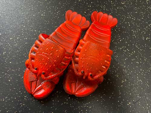 ザリガニ スリッパ