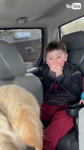 「Boy Gets Puppy Surprise for His Birthday || ViralHog」