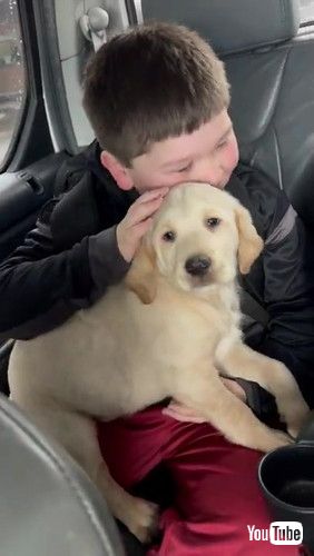 「Boy Gets Puppy Surprise for His Birthday || ViralHog」