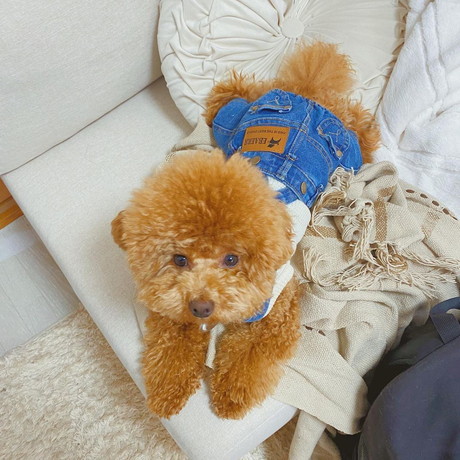 デニムが似合うちょこさん