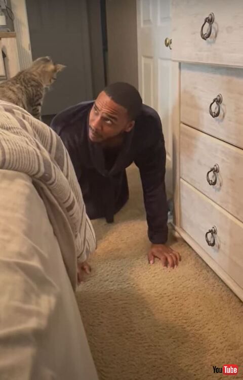 猫を見つめる飼い主