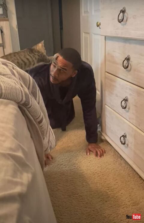 頭を強めにおさえる子猫