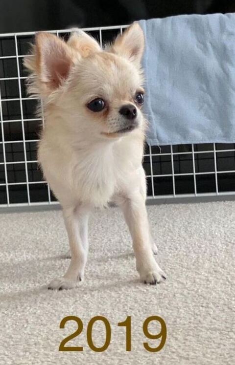 2019年うにちゃん